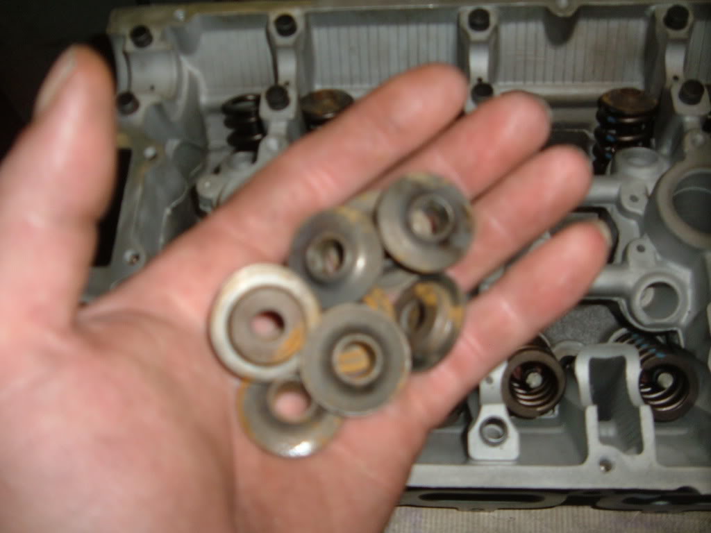 Name: DSCF5540.jpg
Views: 326
Size: 63.5 KB