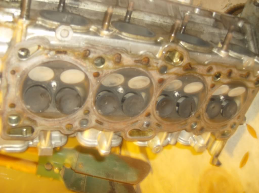 Name: Picture001.jpg
Views: 266
Size: 80.0 KB