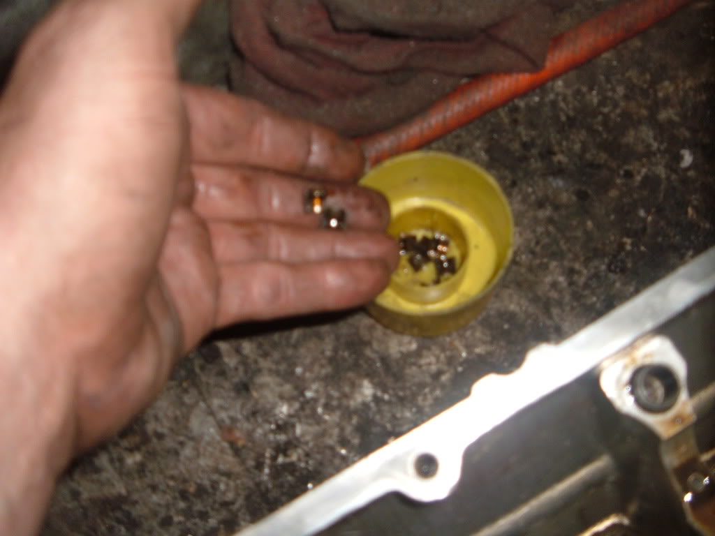 Name: 033.jpg
Views: 323
Size: 65.4 KB