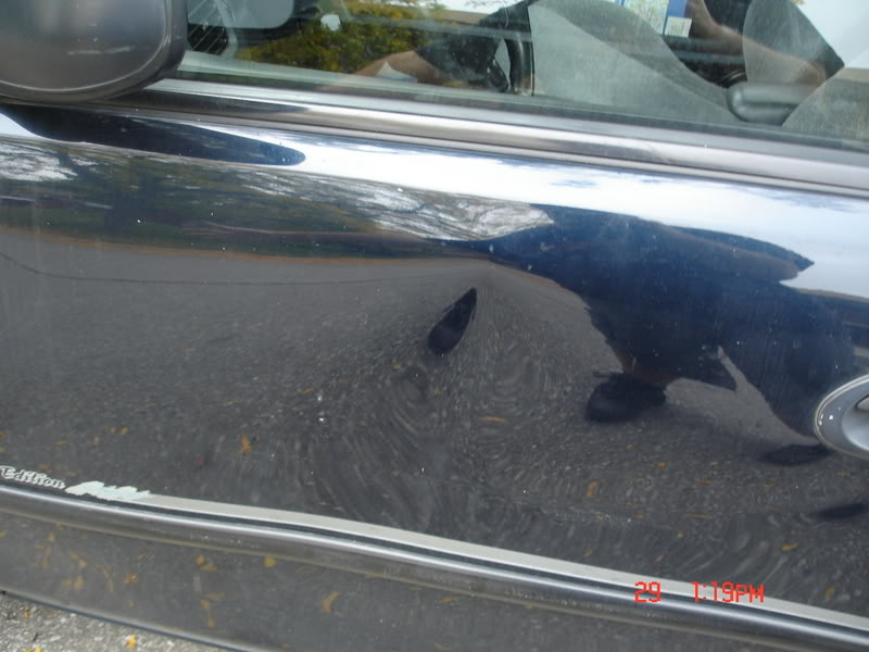 Name:  DSC04098.jpg
Views: 267
Size:  63.3 KB