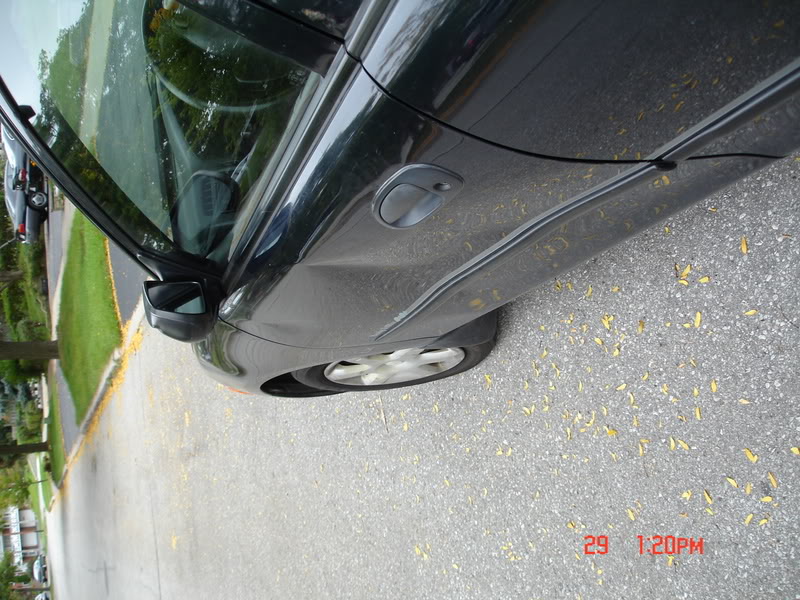 Name:  DSC04104.jpg
Views: 221
Size:  123.8 KB