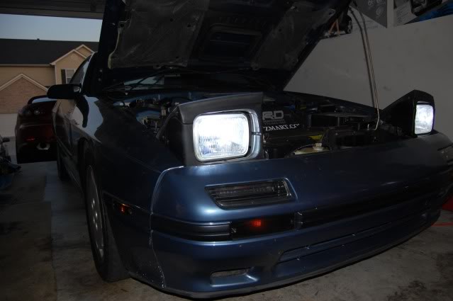 Name:  Pollen001.jpg
Views: 282
Size:  31.1 KB