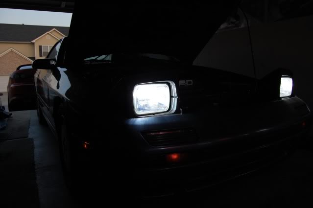 Name:  Pollen002.jpg
Views: 277
Size:  16.6 KB