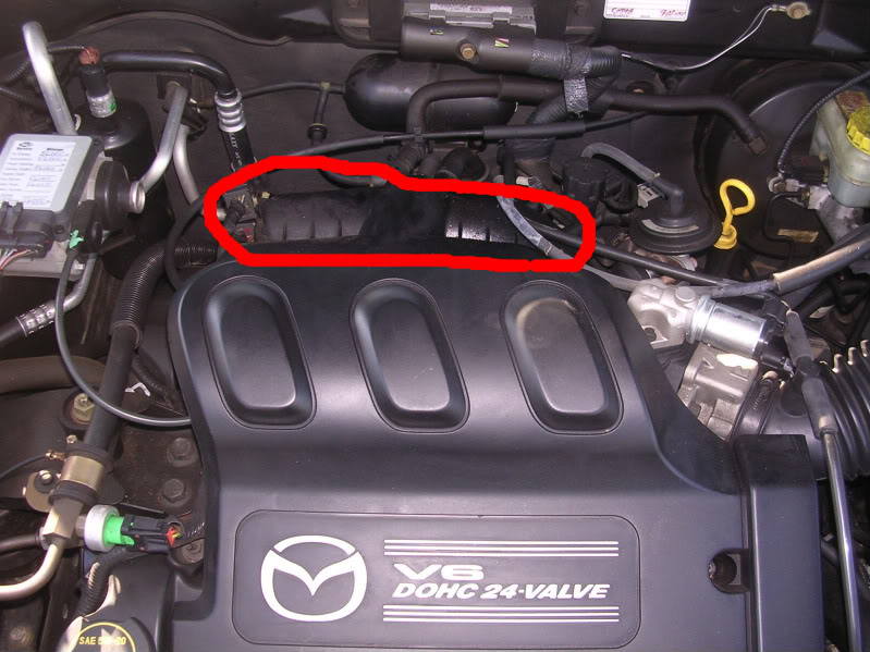 Name:  DSCN6522-1.jpg
Views: 825
Size:  95.5 KB