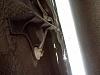 Found the probable cause of an undercarriage rattle - Can someone advise?-img_20120324_160809.jpg