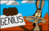 303,846 miles-wile-e-coyote-genius.gif