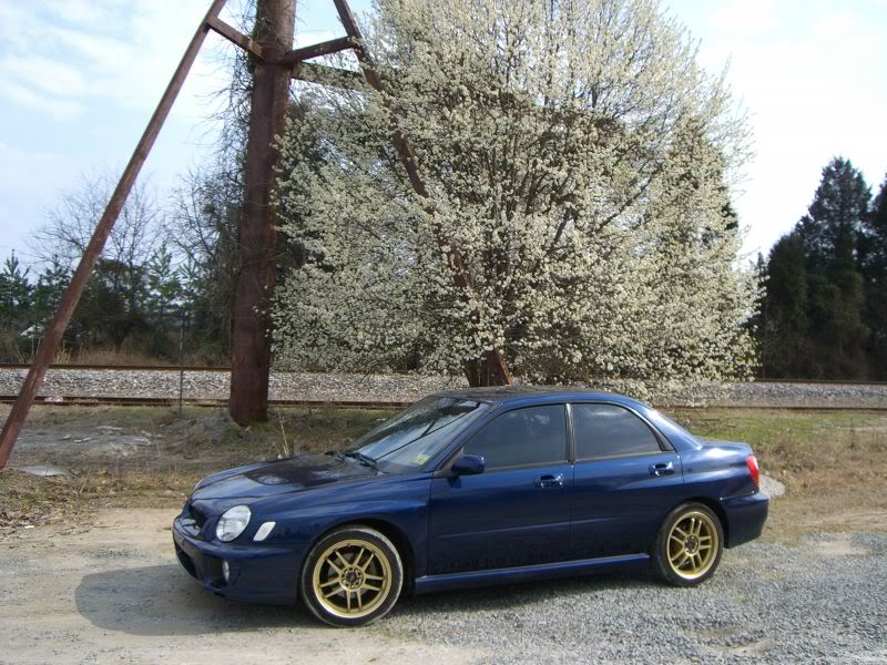 Name:  sideshoot4.jpg
Views: 230
Size:  122.0 KB