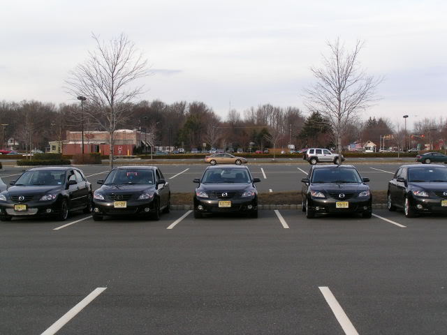 Name:  Familyphotosandtrentonmeet019.jpg
Views: 565
Size:  42.2 KB