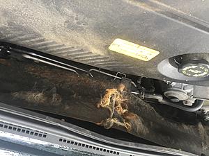 Mazda 5 Diesel heat cover or  what is it?-img_5866.jpg