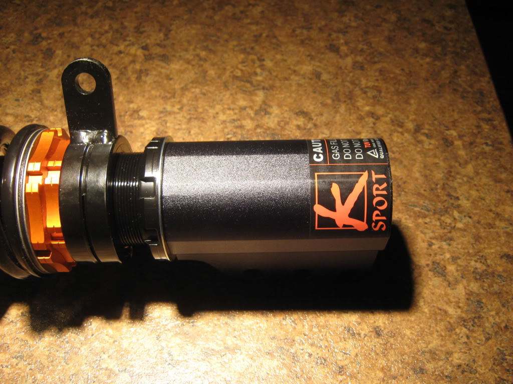 Name:  Struts-6.jpg
Views: 298
Size:  152.2 KB