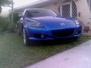 Name:  BlueDragon.jpg
Views: 46
Size:  16.3 KB