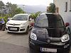 Roommate's New Cars-pandas.jpg