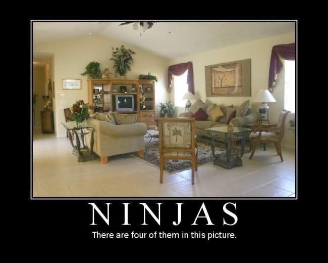 Name:  ninjas.jpg
Views: 132
Size:  37.9 KB