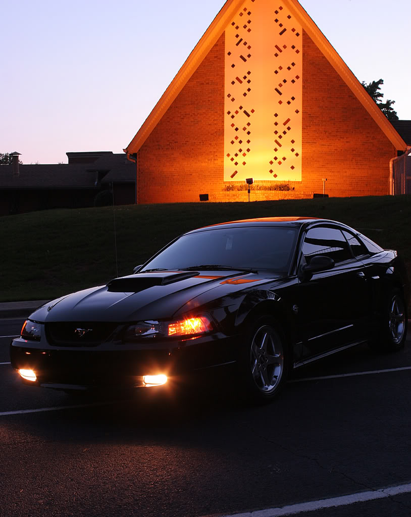 Name: stang.jpg
Views: 86
Size: 122.1 KB