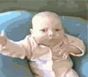 Name:  orlyel8_small2.gif
Views: 32
Size:  82.9 KB