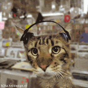 Name:  beta156.gif
Views: 43
Size:  115.2 KB