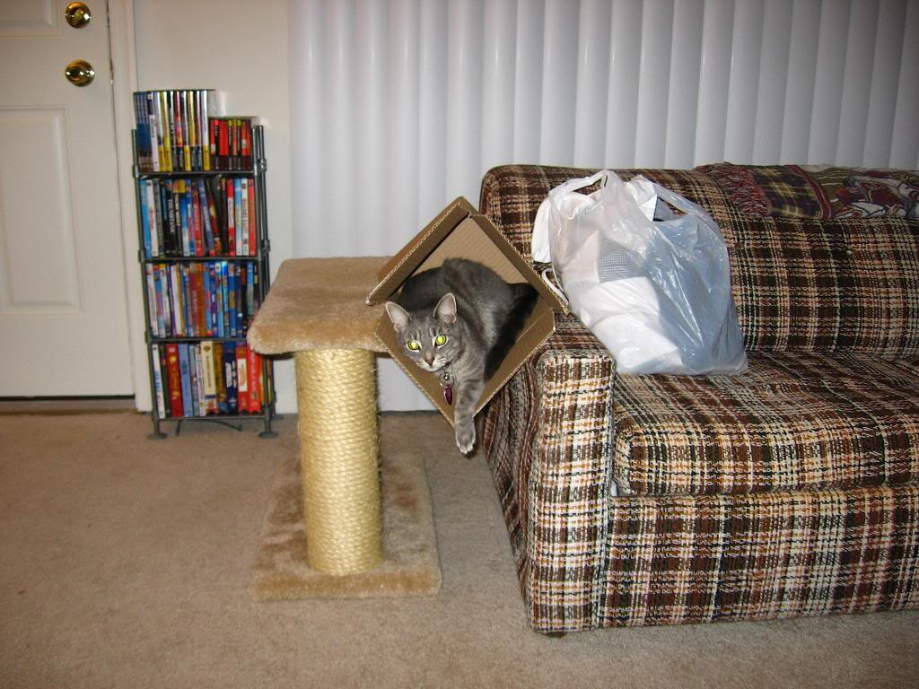 Name: sprockinthebox.jpg
Views: 90
Size: 132.1 KB