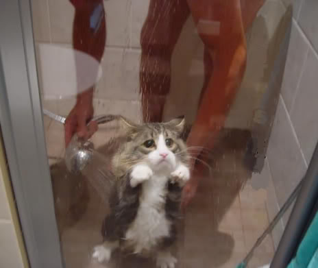 Name: shower_1.jpg
Views: 41
Size: 19.0 KB
