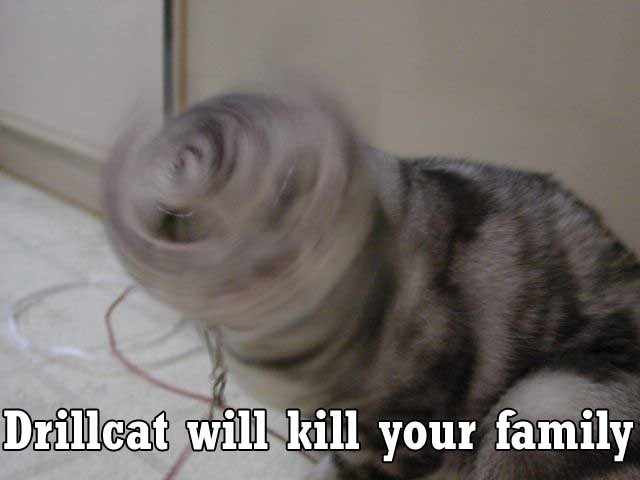 Name: kittydrillcatkillsk8.jpg
Views: 44
Size: 33.7 KB