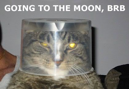 Name: catmoonbrb.jpg
Views: 34
Size: 18.3 KB