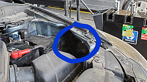 A raccoon doing my oil change!-20210220-100959.jpg