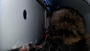 A raccoon doing my oil change!-20210220-104914.jpg