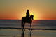 Horseridingbeachhippie's Avatar