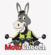 MotoChooch's Avatar
