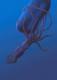 Squidley's Avatar