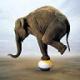 YorkshireJumbo's Avatar